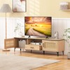 Giantex TV Stand for TV up to 65 Inches, Entertainment