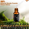 Aceite Esencial Puro y Natural 12 Unidades Para Difusor Y