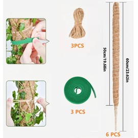 KAERDIYA Tutor para Plantas Trepadoras, 6 Piezas con Cuerda de Yute y Discos Verdes, Soporte de Fibra de Coco Natural