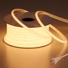 BENLUN AC 110V COB LED Strip Lights Outdoor Waterproof 65.6ft,