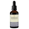 Wanderlust Sleep Botanicals Drops 50mL