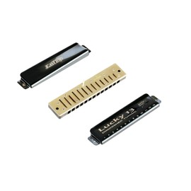 East top Harmonica Blues Harmonica 13 Holes Alexi Jazz Expert Adult Kids Studying Practice Brass Cover Canvas Case Lucky13 (Diminished-C)..