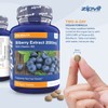 Bilberry Extract 2000mg with Added Vitamin B2, 120 Vegan Tablets.