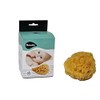 NATURAL SEA SPONGES Natural Sea Sponge for Bath and Shower