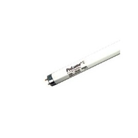 Halco - 109804 - 17 Watt - ProLume Rapid Start - T8 - 4100K - Linear Fluorescent Lamps - Pack of 25 Lamps