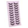 DSLONG 10 Pairs Manga Lashes Wet Look Lashes Effect Cat
