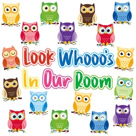 Owl Bulletin Board Decorations Set Owl Classroom Decor Owls Paper Cutouts Name Tags Labels for Classroom Decoration Back to School Party Supply