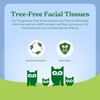 Caboo Tree Free Facial Tissue Paper, Tissue Box with 60