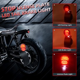 Amazicha LED License Plate Brake Light Tail Light with 1 Inch Axle Hole Curved Bracket Compatible for Harley Sporster Bobber Choppers