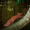 Rusty Squirrel to Screw in Wood, Garden Stake Rust Garden