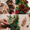 24 Pcs Christmas Pinecones Ornaments Natural Rustic Pine Cones Hanging
