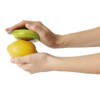 Chef'n FreshForce Lemon Juicer Squeezer Manual, Plastic & Stainless Steel,