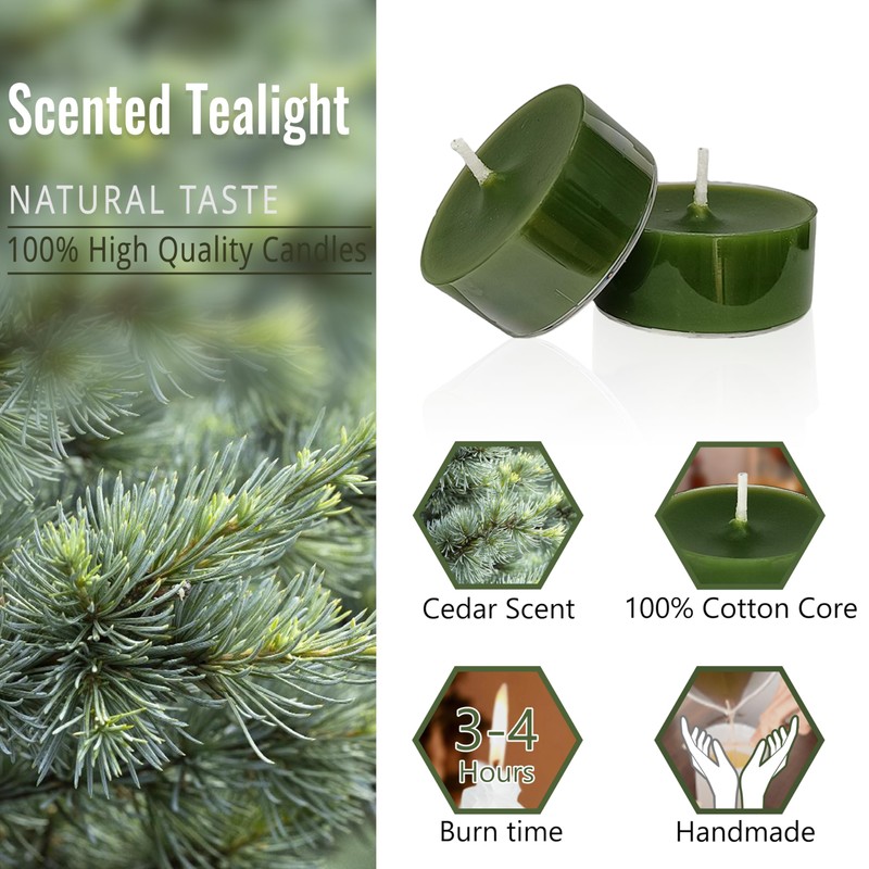 Green Tea Lights Candles Set of 24, Cedar Scented Long