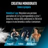Creatina in polvere - 300 g - Creatina monoidrato in