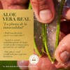 Herbal Essences Shampoo Bio:Renew 6X Aloe & Mango Protege &