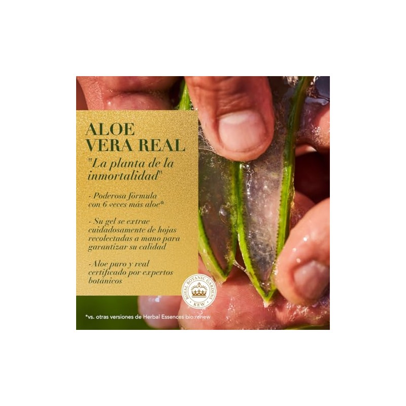 Herbal Essences Shampoo Bio:Renew 6X Aloe & Mango Protege &