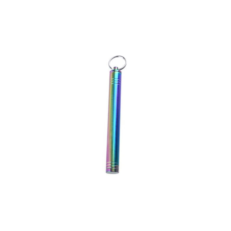 Titanium Toothpick Holder Keychain Fruit Picks Tooth Cleaning Tool Container