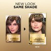 L'Oreal Paris Superior Preference Luminous Fade-Defying Permanent Hair Color, Hair
