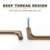 Asidrama 20 Pack 5 Inch(128mm) Champagne Bronze Cabinet Pulls Cabinet