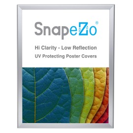 SnapeZo Poster Frame 22x28, Silver, 1.25 Inch Aluminum Profile, Front-Loading Snap Frame, Wall Mounting, Professional Series