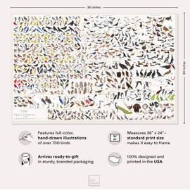 Pop Chart | Birds of North America | 36" x 24" Large-Format Poster | Every Bird Species in North America Illustrated | Perfect Wall Decor for Nature Lovers | 100% Made in the US