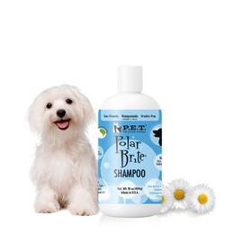 P.E.T. Polar Brite Tangerine Whitening Shampoo — Brightens White & Light-Colored Coats, Tangerine-Botanical Moisture Blend — 5 : 1 Concentrated Cosmetic Grooming Formula (Not a Pesticide) — 16 oz