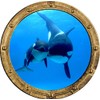Porthole Window Wall Decal Killer Whale and Cub Rustic Port