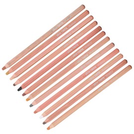 Derwent Pastel Pencils, Skin Coloured Pastels, Soft for Artists, Provides Hand Painted Toner, Professional Charcoal Drawing and Painting Tool Set
