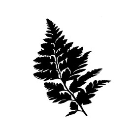 World Design Fern Plant Silhouette Notebook Car Laptop 5.5" (Black)