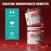 VIFSSG Creatine Monohydrate Gummies 5 grams With Magnesium & L-Threonate