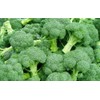 Calabrese Broccoli Seeds for Sprouting & Microgreens | 450 Seeds,