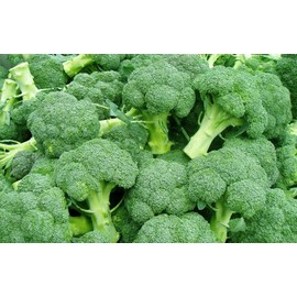 Calabrese Broccoli Seeds for Sprouting & Microgreens | 450 Seeds, Non-GMO, Heirloom
