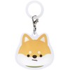 Skater ZUM1-A Umbrella Marker Umbrella Rain Goods SHIBA Shiba Dog