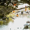 Yardwe 3pcs Realistic Eagle Bird Deterrent Hanging Plastic Eagle Decor