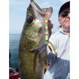 Facikono Fishing Beads Assorted Set, 1000pcs 5mm Round Float Glow Fishing Rig Beads Fishing Lure Tackle