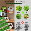 DPROOTS NFT Hydroponic Growing System Kit - Full-Spectrum Grow Lights