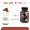 QUENUT | Adaptógeno Orgánico de Hongo Reishi en Cápsula Vegana