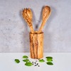 Utensil Holder Olive Wood Approx. Height 16 cm Cutlery Holder