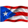 CAROD PUERTO RICO FLAG CAR STICKER DECAL,BANDERA,