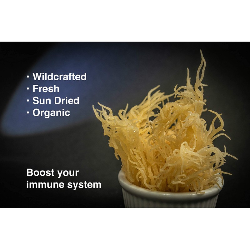 Dried Sea Moss (3 Oz (pack of 2)) - Caribbean