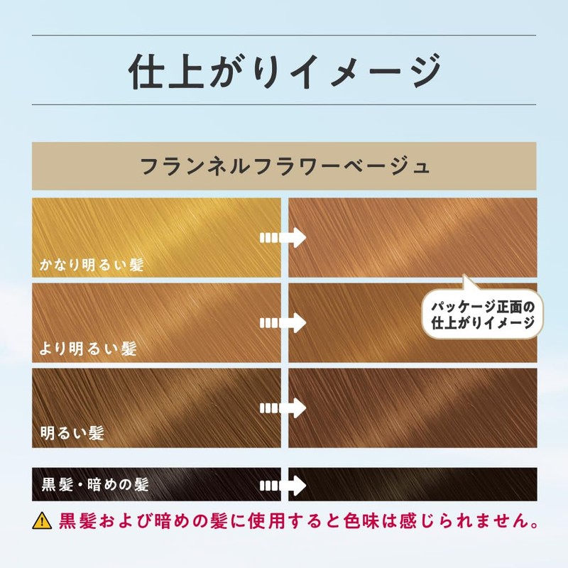 Liese Kao Bubble Bleach On Hair Color Flannel Flower Beige