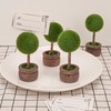 HannaFires 4PC Green Plant Style Place Card Holders – Mini