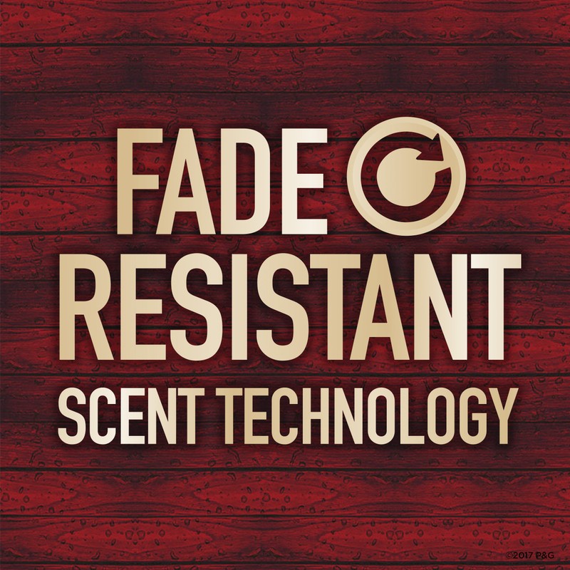 Old Spice Aluminum Free Deodorant for Men Red Zone Collection,