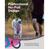 MIDOG No-Pull Dog Harness | Adjustable & Reflective Pet Harness