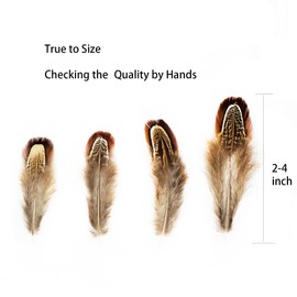 Happy Feather 100 pcs Natural Pheasant Plumage Feathers 2-3 Inches Plumage Feathers for Sewing Crafts Clothing Decorating Accessories -Nature