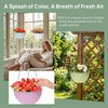 10 Pack Hanging Planters for Outdoor Plants, Small Hanging Basket