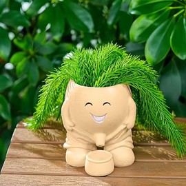 Head Planter, Unique Face Flower Pot Head Vase for Plants for Indoor and Outdoor Décor, Cute Cactus Face Pots Funny Office Plant Pots, Novelty Gift Set ﻿(Khaki)