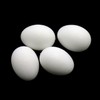 Maxmoral 12pcs Fake Eggs Plastic False Pigeon Eggs for Hatch