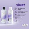 Kenra Violet Shampoo | Eliminates Brassy Tones | Purple Pigment