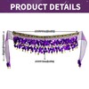 Belly Dance Hip Scarf Belt Women's Belly Dance Costume Hip